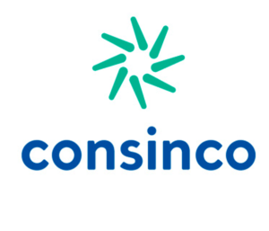 17050ed3-erps-consinco-300x257-1